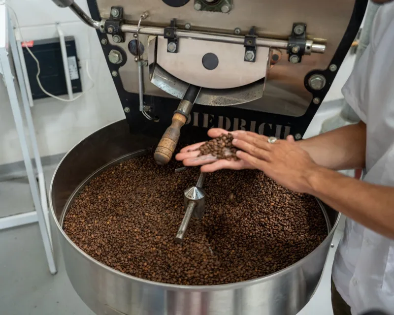 Beyond Borders: How Adventurous Roasters Are Crafting Multi-Origin Blends That Rewrite the Rules of Specialty Coffee