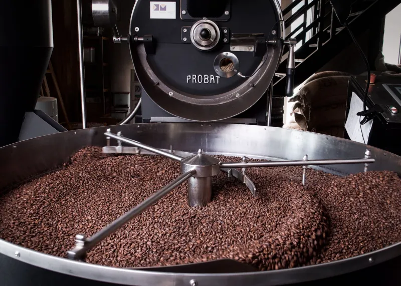 Medium vs. Dark Roast: A Definitive Guide for the Discerning Coffee Enthusiast