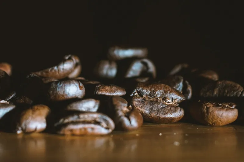 Where Heritage Meets Horizon: The Art and Audacity of Intercontinental Bean Fusion