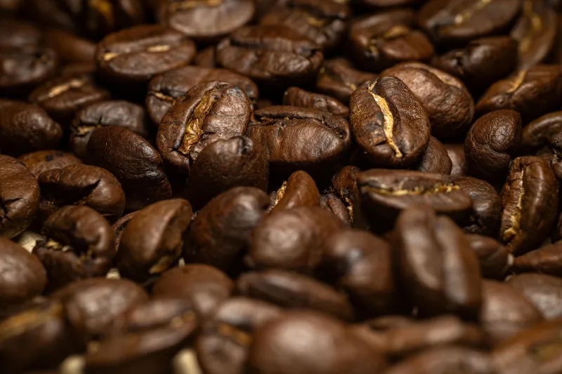 The Architecture of Luxuriousness: What Separates a Truly Exceptional Bean From the Merely Expensive