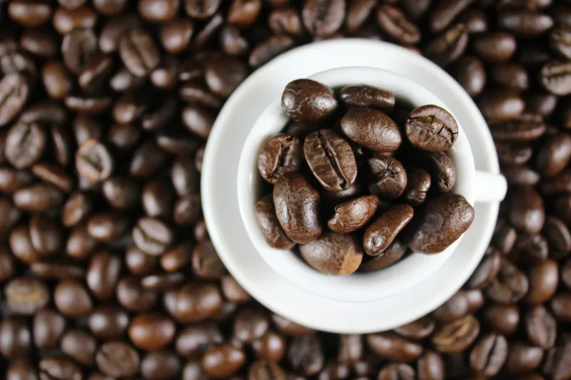 Introducing the Indulgence Blend: A Composition Designed for Moments That Demand the Extraordinary