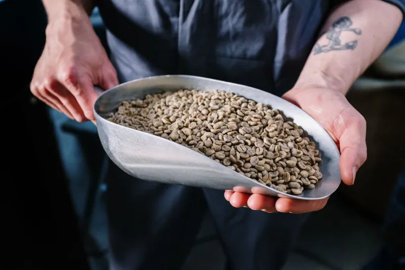 Two Origins, One Cup: The Art and Science of Intentional Single-Origin Blending